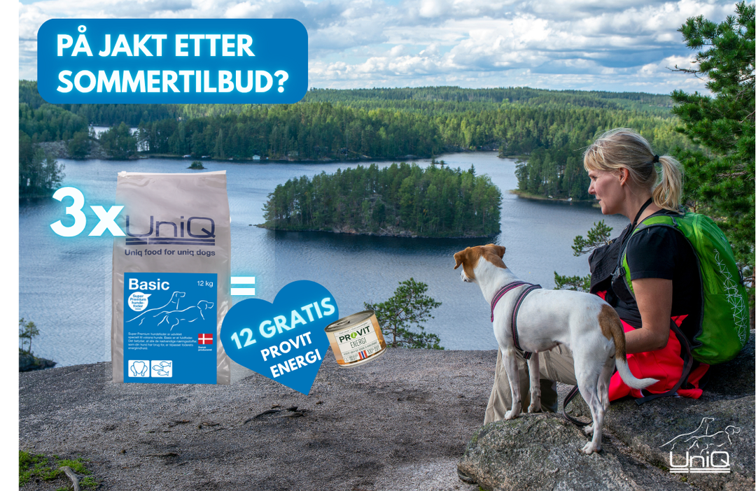 3x Basic (x12 bokser Provit Gratis)