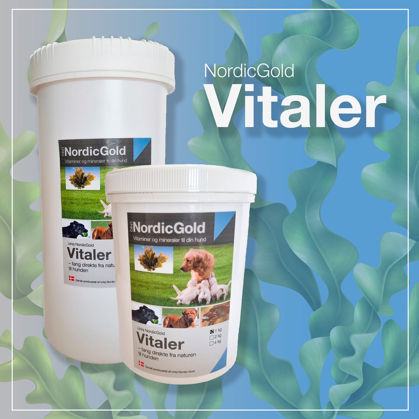 NordiGold Vitaler hundemat