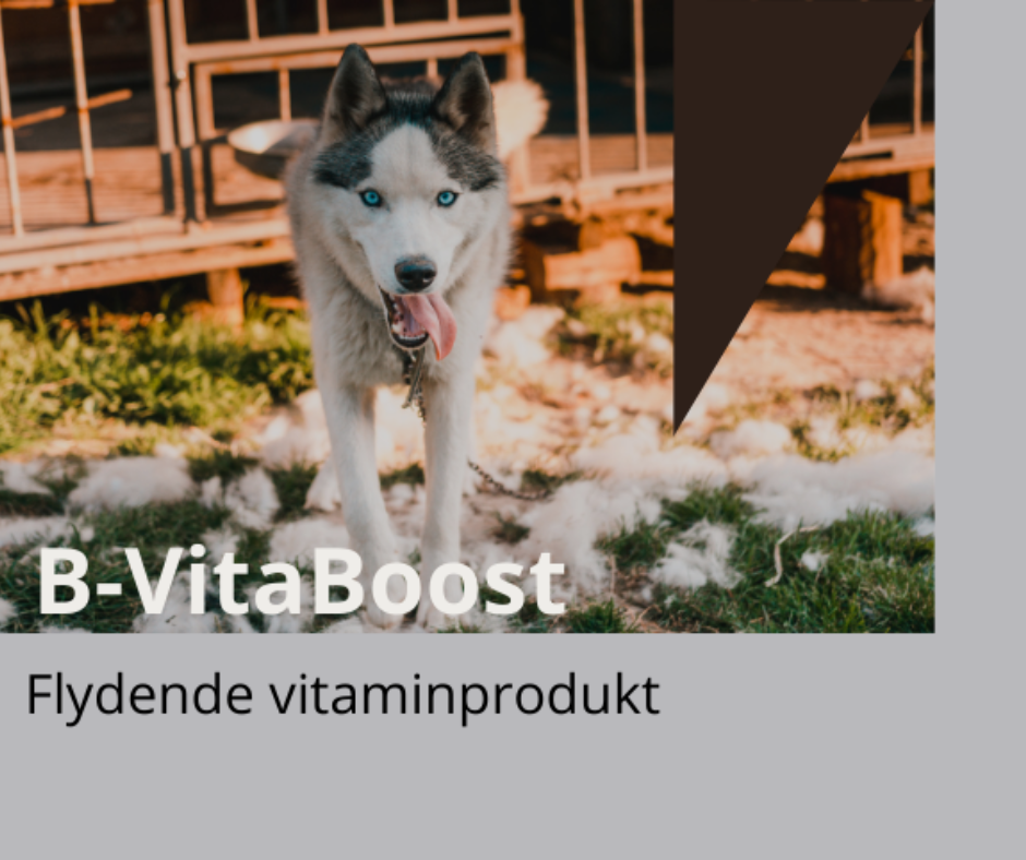 B-Vitamin Boost - med 8 forskjellige typer B-vitaminer, trigger immunforsvaret 0,5 ltr