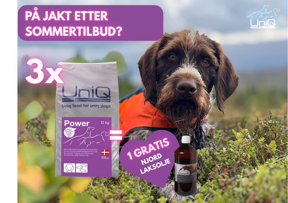 3x Power (1L Njord lakseolje Gratis)