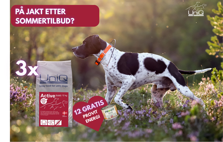 3x Active (x12 bokser Provit Gratis)