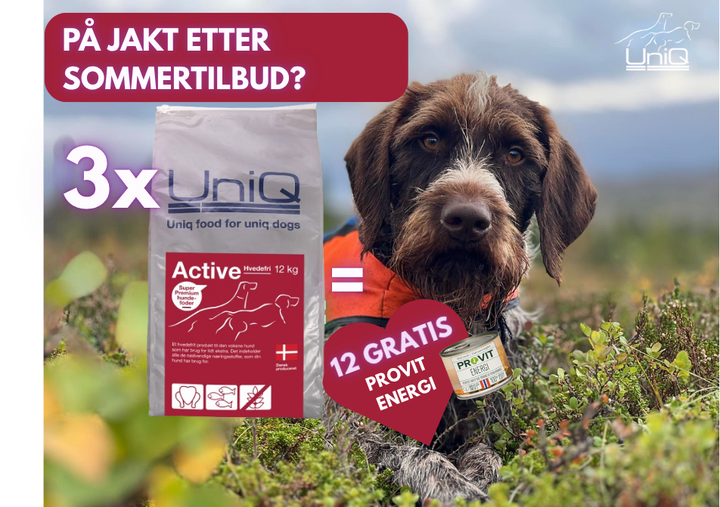 3x Active (x12 bokser Provit Gratis)