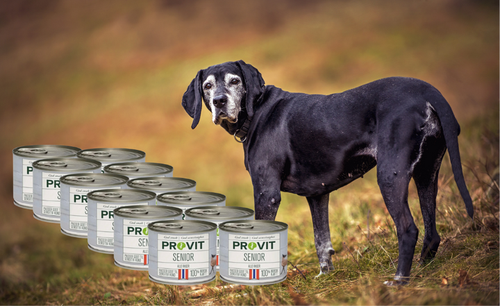 Provit Senior boks (12 stk)
