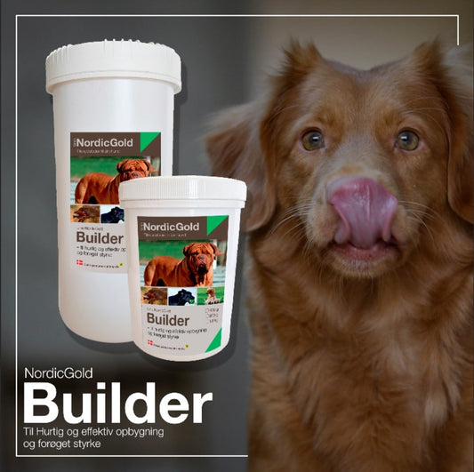 NordiGold Builder hundemat